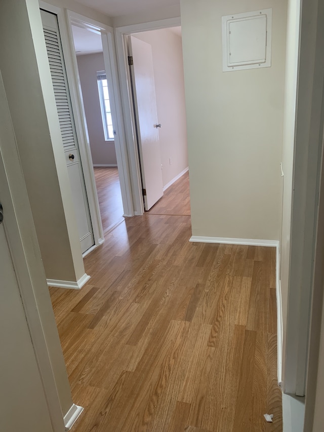 311 W Highland Rd Unit T13, Howell, MI 48843 - corridor featuring baseboards, light wood finished floors, and electric panel