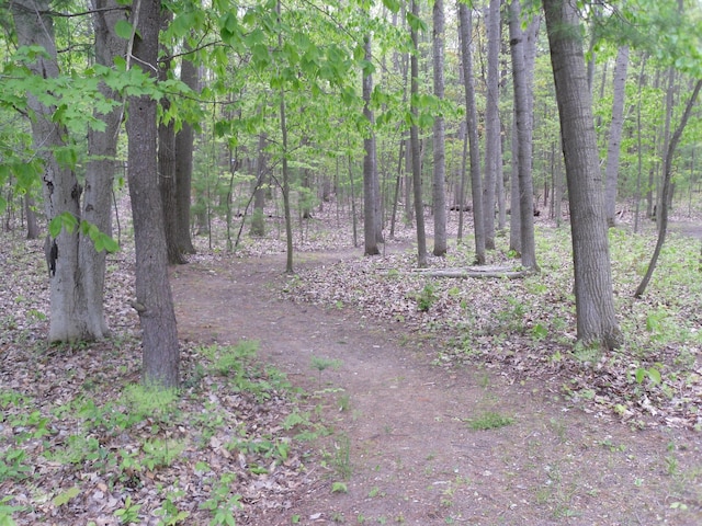 6515 Maple Rd, Ludington, MI 49431 - view of wooded area