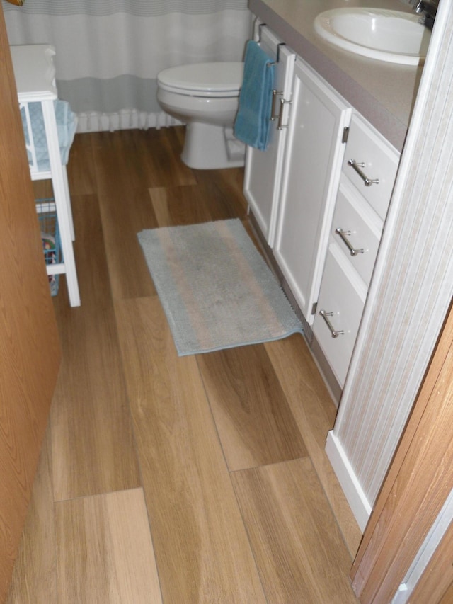 6515 Maple Rd, Ludington, MI 49431 - bathroom featuring wood finished floors, vanity, and toilet