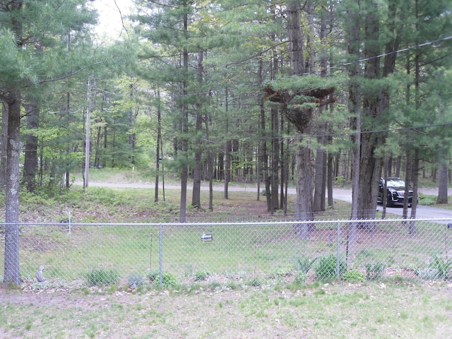 6515 Maple Rd, Ludington, MI 49431 - view of yard with a wooded view