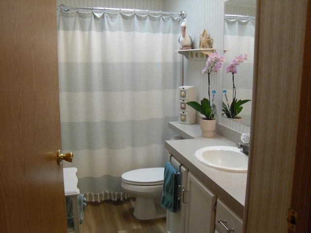 6515 Maple Rd, Ludington, MI 49431 - full bath featuring toilet, vanity, wood finished floors, and curtained shower