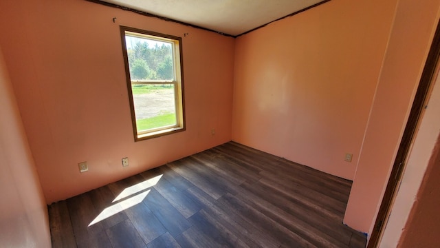 7939 W Moore Rd, Ravenna, MI 49451 - empty room featuring dark wood-style flooring