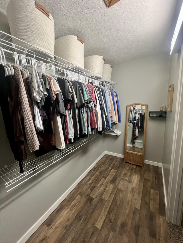 walk in closet with wood finished floors