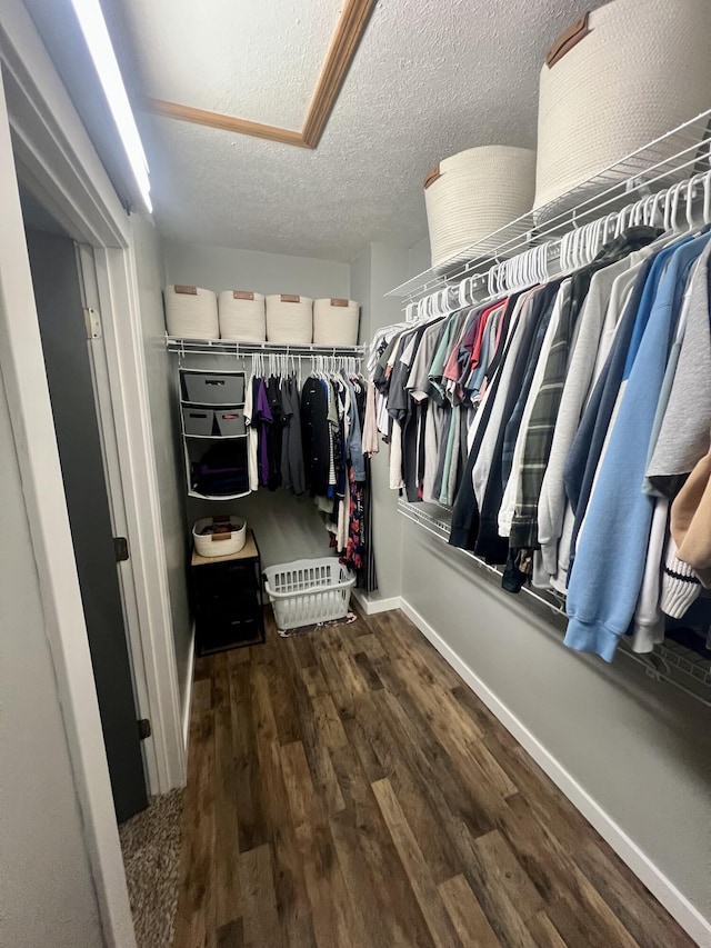 walk in closet featuring wood finished floors