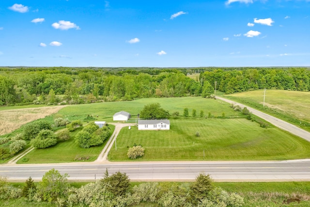 10060 Pioneer Rd, Hillsdale, MI 49242 - overview of rural landscape with a forest