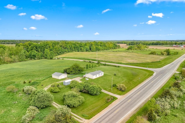 10060 Pioneer Rd, Hillsdale, MI 49242 - view of rural area