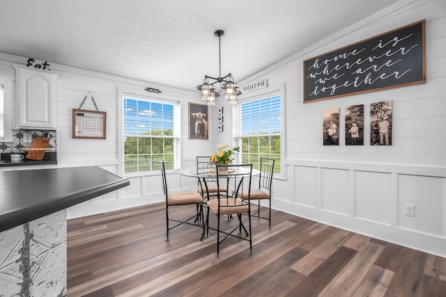 10060 Pioneer Rd, Hillsdale, MI 49242 - dining space featuring dark wood-style floors, a decorative wall, and a textured ceiling