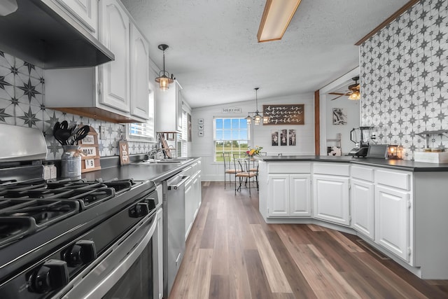 10060 Pioneer Rd, Hillsdale, MI 49242 - kitchen featuring appliances with stainless steel finishes, under cabinet range hood, a textured ceiling, dark wood finished floors, and dark countertops