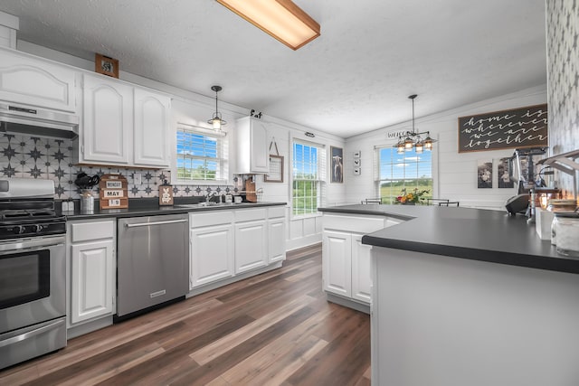 10060 Pioneer Rd, Hillsdale, MI 49242 - kitchen featuring stainless steel appliances, range hood, dark countertops, dark wood-style flooring, and white cabinets