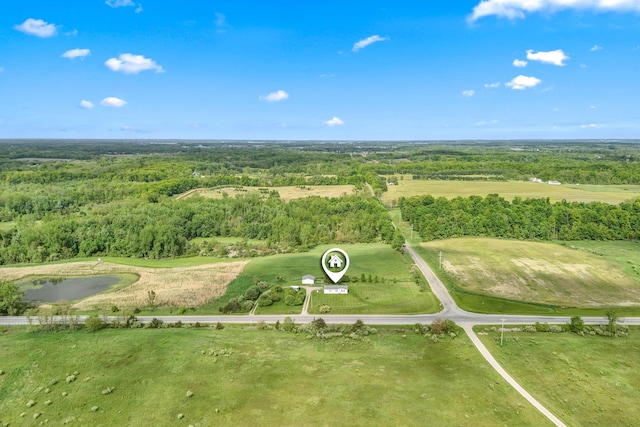 10060 Pioneer Rd, Hillsdale, MI 49242 - aerial view of a forest