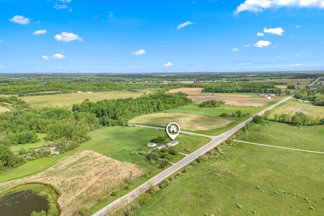 10060 Pioneer Rd, Hillsdale, MI 49242 - aerial view