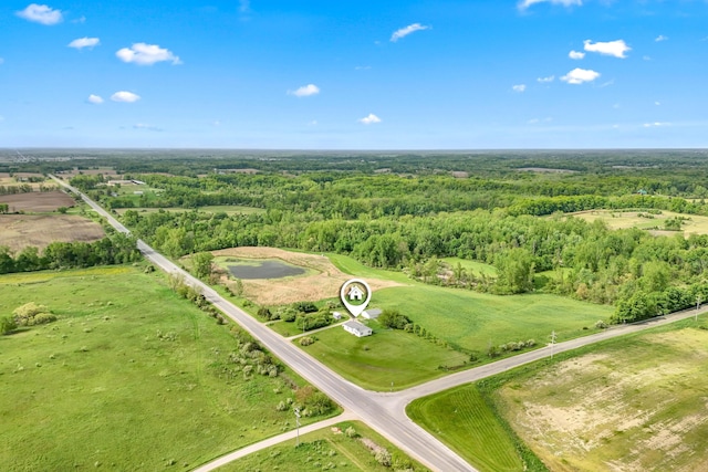 10060 Pioneer Rd, Hillsdale, MI 49242 - aerial view of a forest