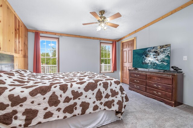 10060 Pioneer Rd, Hillsdale, MI 49242 - bedroom featuring carpet floors and a ceiling fan