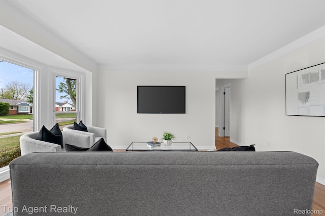 32525 Holden Dr, Warren, MI 48092 - living room featuring healthy amount of natural light, wood finished floors, and baseboards