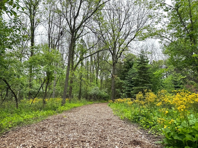 2129 Autumn Hill Dr, Ann Arbor, MI 48103 - view of street with a forest view