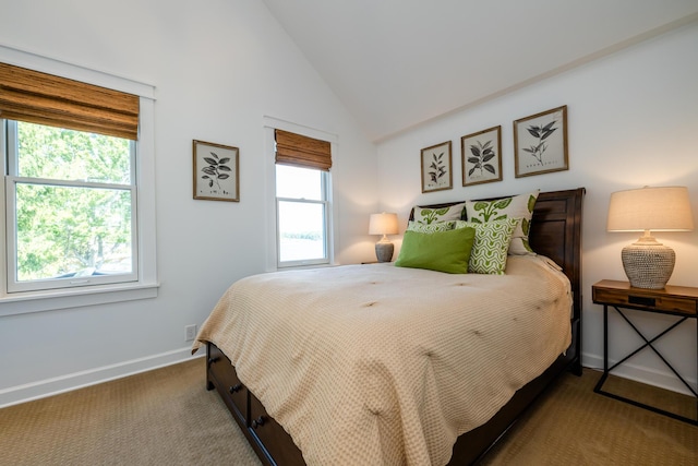 7881 Lakewood Dr, Coloma, MI 49038 - bedroom featuring baseboards, carpet flooring, and high vaulted ceiling
