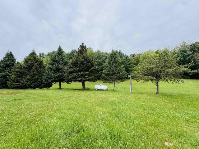 9828 S 43rd Rd, Cadillac, MI 49601