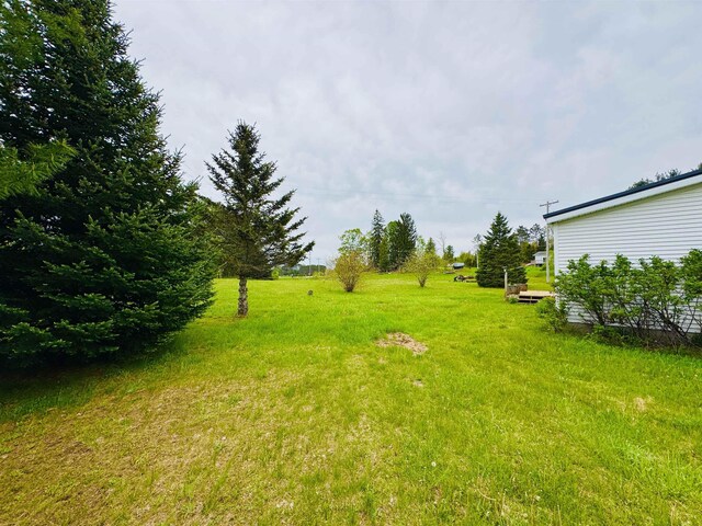 9828 S 43rd Rd, Cadillac, MI 49601