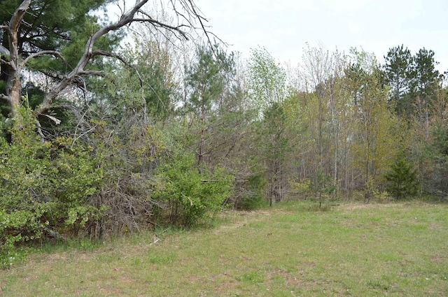 Spencer Rd, Kalkaska, MI 49646