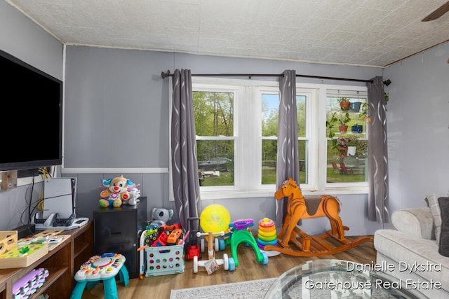 11660 Wren Dr, Lakeview, MI 48850 - rec room with wood finished floors
