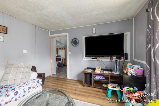 11660 Wren Dr, Lakeview, MI 48850 - living room featuring wood finished floors