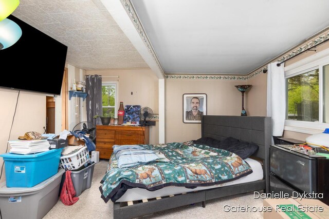 11660 Wren Dr, Lakeview, MI 48850 - view of bedroom