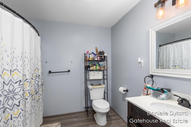 11660 Wren Dr, Lakeview, MI 48850 - bathroom featuring toilet, vanity, and wood finished floors