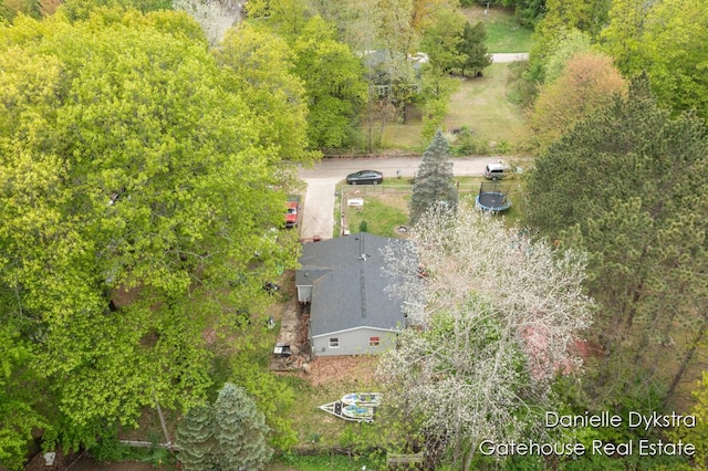 11660 Wren Dr, Lakeview, MI 48850 - aerial view of property and surrounding area