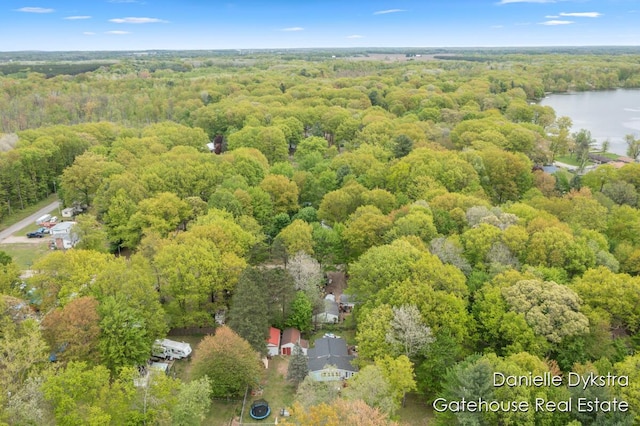 11660 Wren Dr, Lakeview, MI 48850 - aerial view of property and surrounding area featuring a heavily wooded area and a large body of water