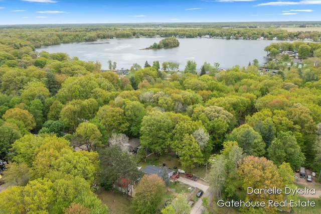 11660 Wren Dr, Lakeview, MI 48850 - aerial view of property's location featuring a large body of water and a forest