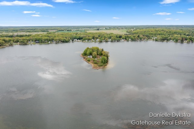 11660 Wren Dr, Lakeview, MI 48850 - water view with a forest