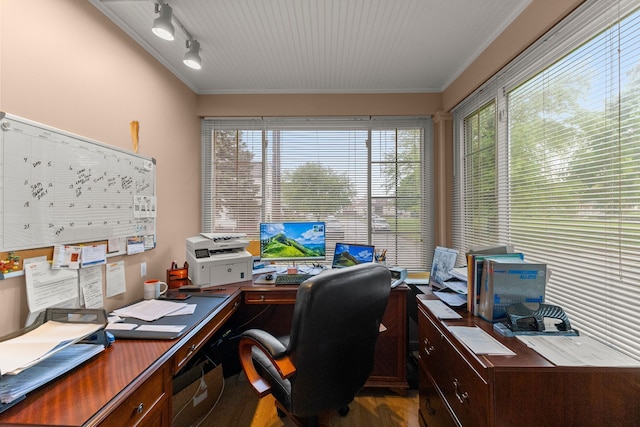 449 Spruce St, Wyandotte, MI 48192 - office with ornamental molding, dark wood-style flooring, and rail lighting