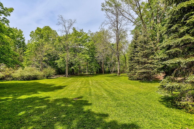7361 N Shore Dr, South Haven, MI 49090 - view of grassy yard with a forest view