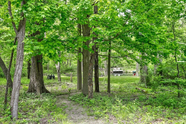 7361 N Shore Dr, South Haven, MI 49090 - view of undeveloped land