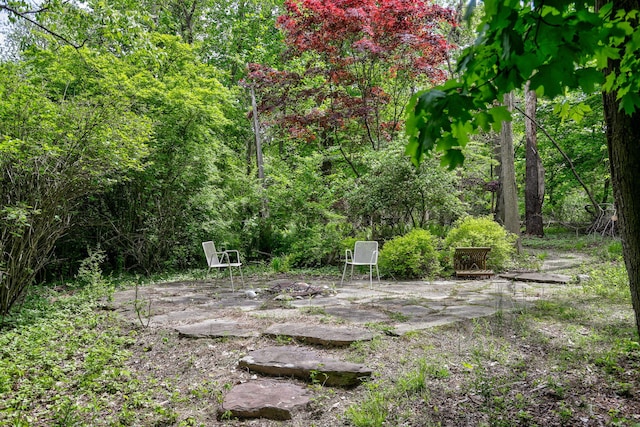 7361 N Shore Dr, South Haven, MI 49090 - view of yard with a wooded view