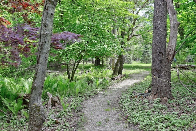 7361 N Shore Dr, South Haven, MI 49090 - view of tree filled area
