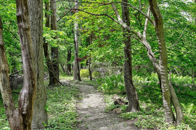 7361 N Shore Dr, South Haven, MI 49090 - view of woods