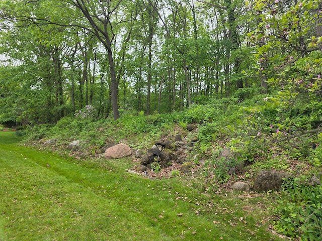 5893 Christina Dr, West Bloomfield, MI 48324 - view of green lawn featuring a forest view
