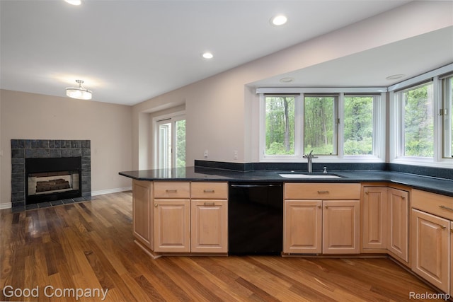 5893 Christina Dr, West Bloomfield, MI 48324 - kitchen with dishwasher, a sink, dark wood-type flooring, plenty of natural light, and recessed lighting