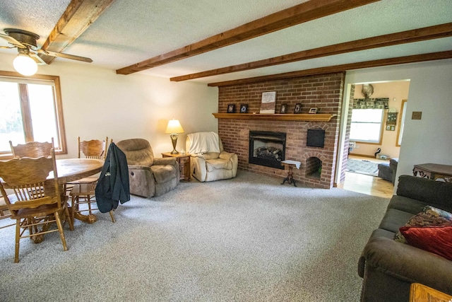 living room with plenty of natural light, beam ceiling, a ceiling fan, a fireplace, and carpet