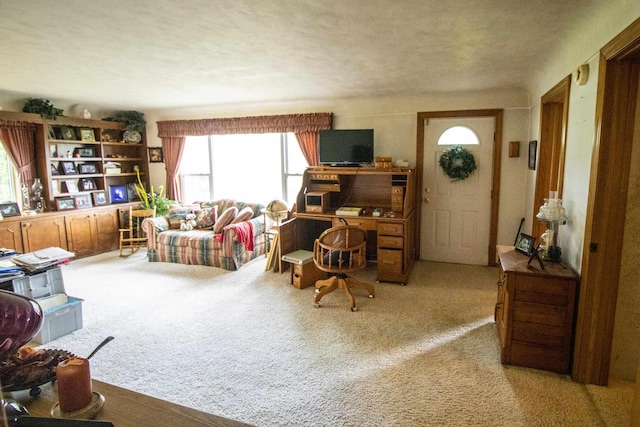 carpeted living area with a textured ceiling