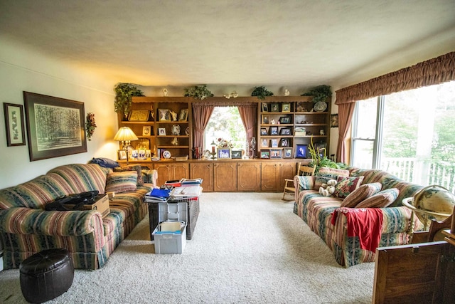living room featuring light carpet
