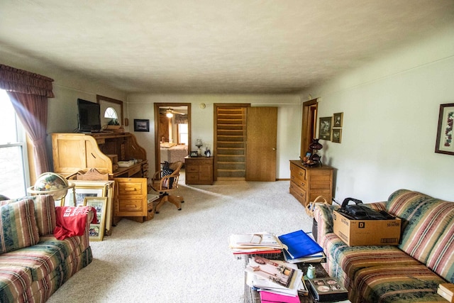 living area featuring carpet