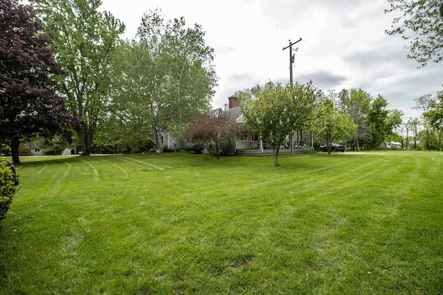 view of green lawn