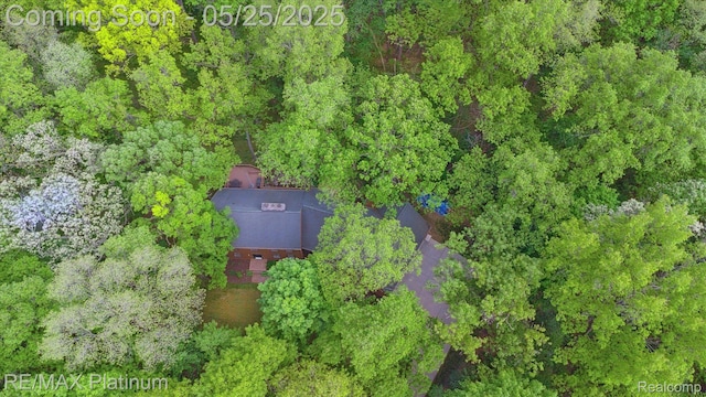 4121 Marsh Trl, Milford, MI 48380 - view of subject property