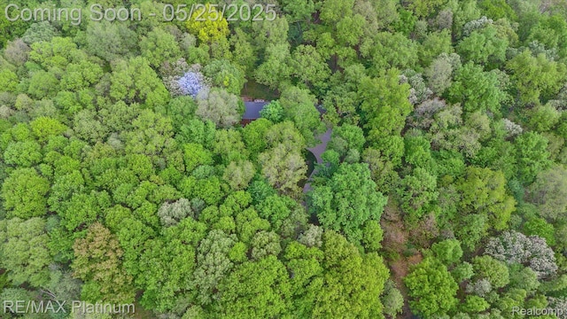 4121 Marsh Trl, Milford, MI 48380 - aerial overview of property's location with a forest
