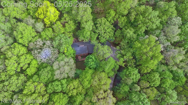 4121 Marsh Trl, Milford, MI 48380 - aerial overview of property's location