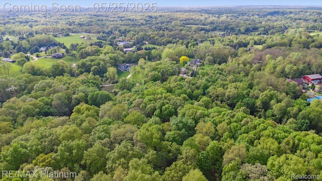 4121 Marsh Trl, Milford, MI 48380 - bird's eye view of a forest