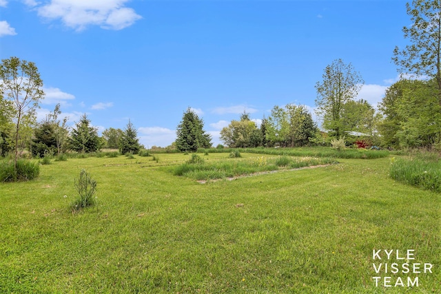 9020 5 Mile Rd NE, Ada, MI 49301 - view of yard