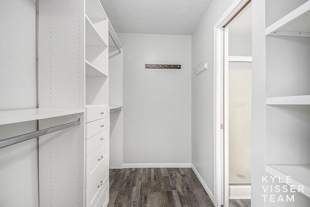 9020 5 Mile Rd NE, Ada, MI 49301 - spacious closet featuring dark wood-style floors